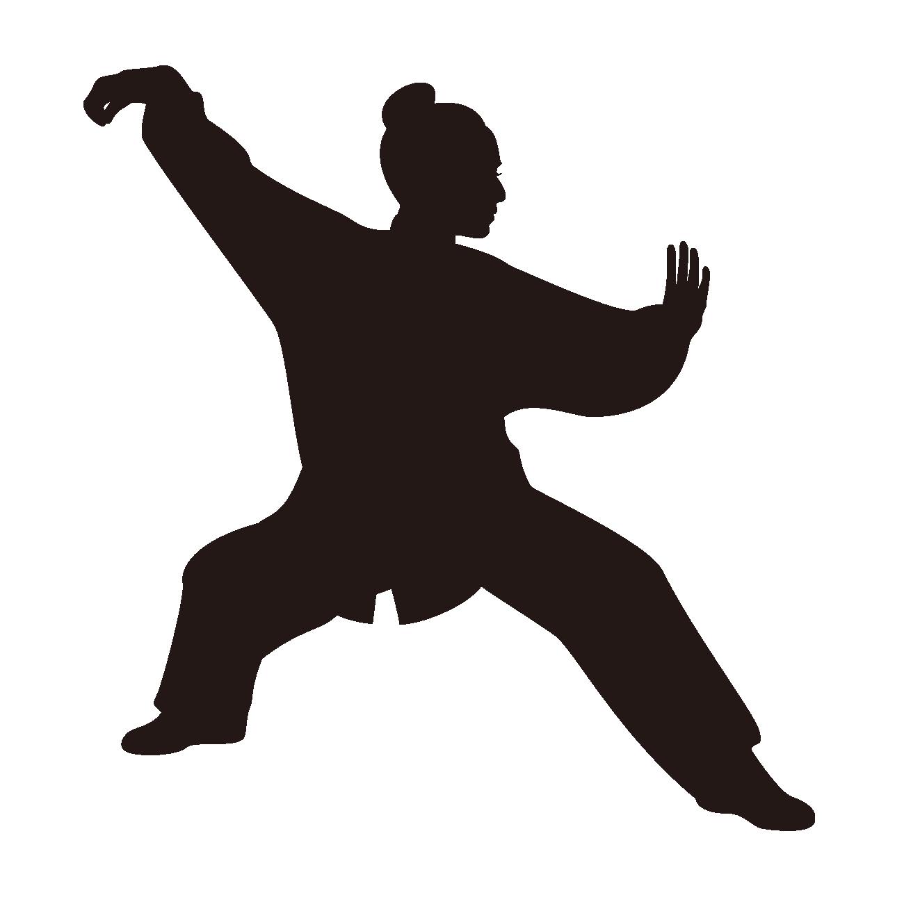 AJES Taichi